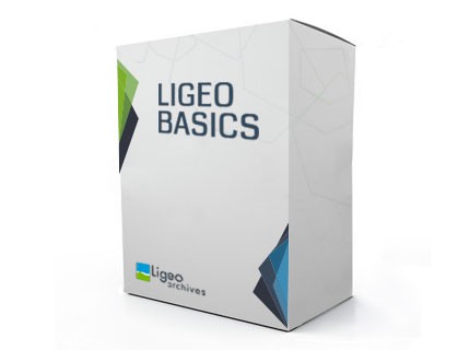 Ligeo Basics